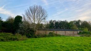 Plot with PP for sale in Punnett's Town photo